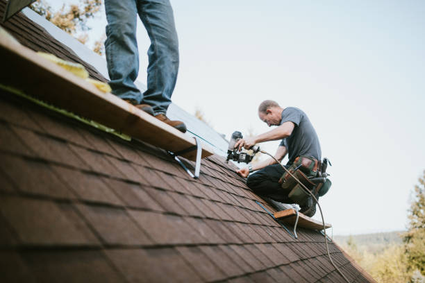 Best Roof Gutter Cleaning  in Reynoldsville, PA
